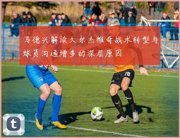马德兴解读久尔杰维奇战术转型与球员沟通增多的深层原因